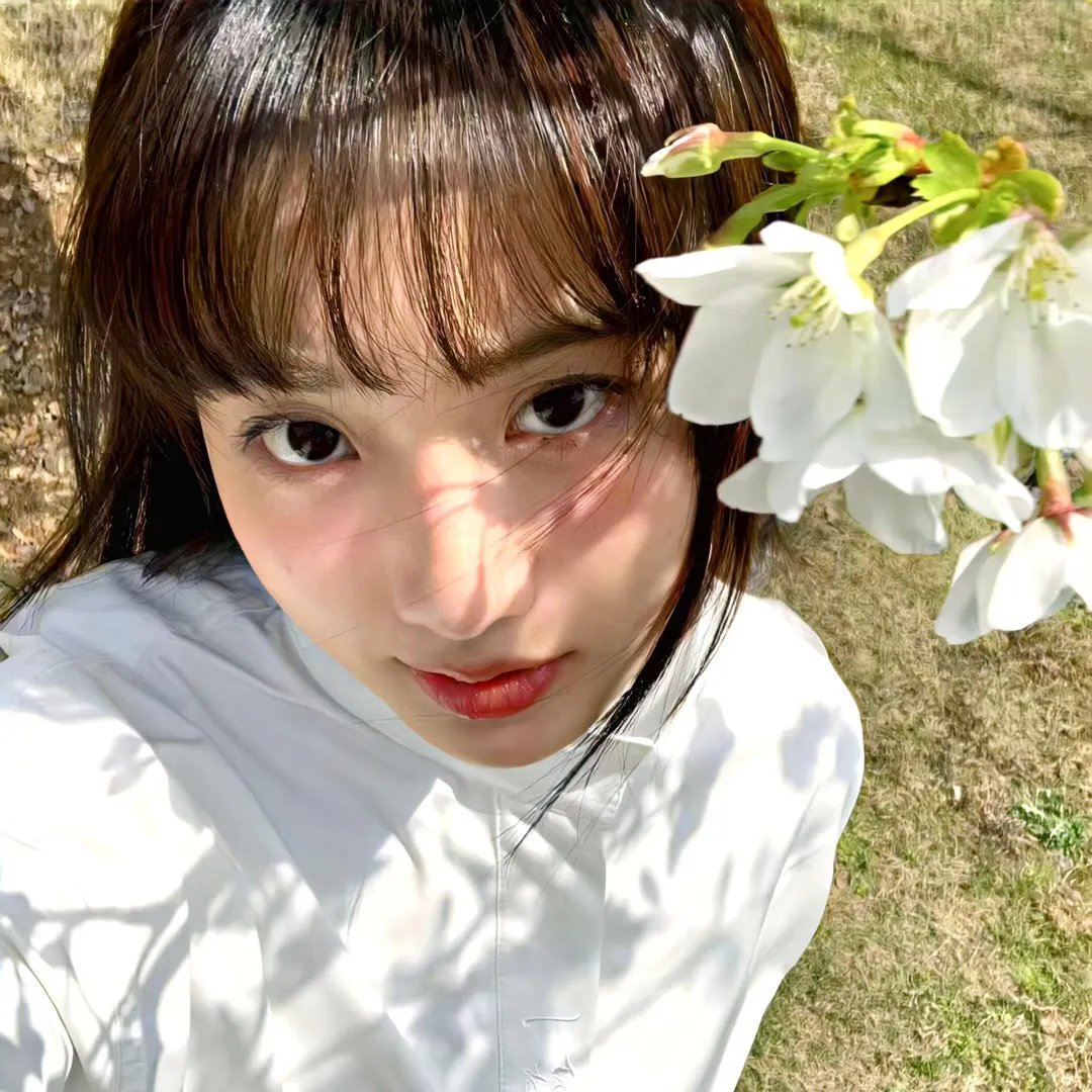 大师的菜